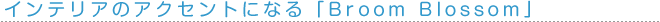 �C���e���A�̃A�N�Z���g�ɂȂ�uBroom Blossom�v