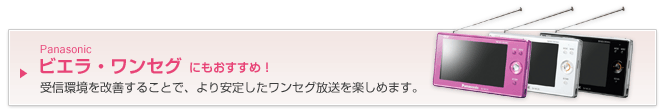 �r�G���E�����Z�O�ɂ���������