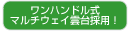 �����n���h�����}���`�E�F�C�_��̗p�I