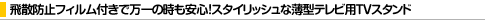 ��U�h�~�t�B�����t���Ŗ���̎������S�I�X�^�C���b�V���Ȕ��^�e���r�pTV���b�N