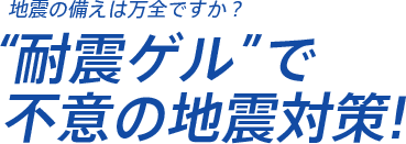 �ϐk�Q���ŕs�ӂ̒n�k�΍�
