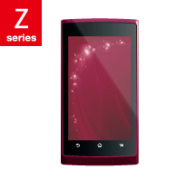 2010�N�������f�� Z�V���[�Y�p�A�N�Z�T��
