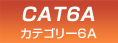 CAT 6A | �J�e�S���[6A