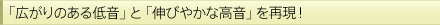 �u�L����̂���ቹ�v�Ɓu�L�т₩�ȍ����v���Č��I