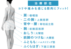 治療部位 コリや痛みを感じる筋肉にフィット!