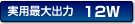 ���p�ő�o��12W