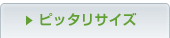 �s�b�^���T�C�Y
