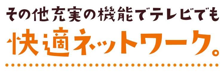 その他充実の機能でテレビでも快適ネットワーク。